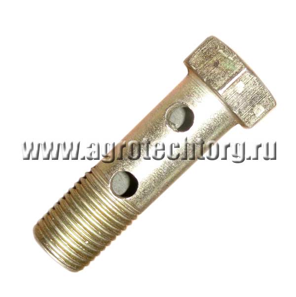 Болт (2 отверстия)